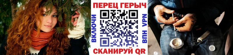 как найти   Звенигород  kraken   Героин гречка 