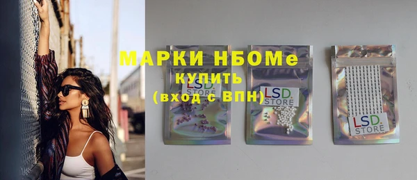 прущий лед Вяземский