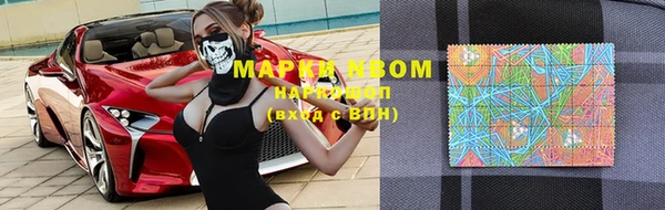 тгк Володарск
