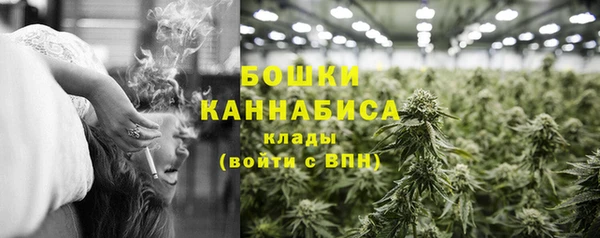 тгк Володарск