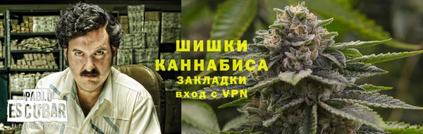тгк Володарск