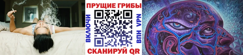гидра зеркало  Звенигород  Псилоцибиновые грибы Psilocybine cubensis 
