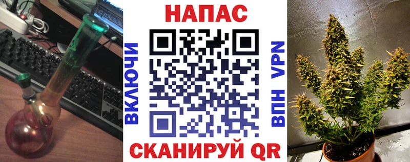 блэк спрут как зайти  Звенигород  Бошки Шишки SATIVA & INDICA 